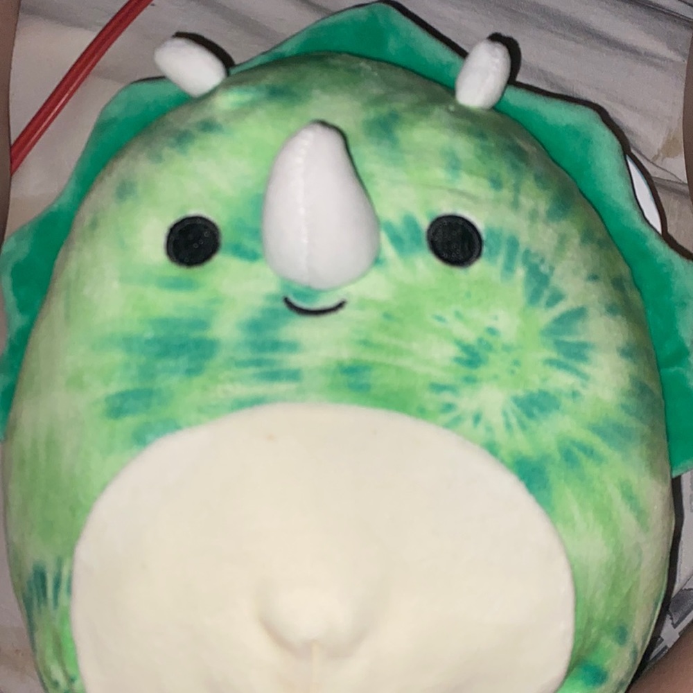 squishmallows- rocio